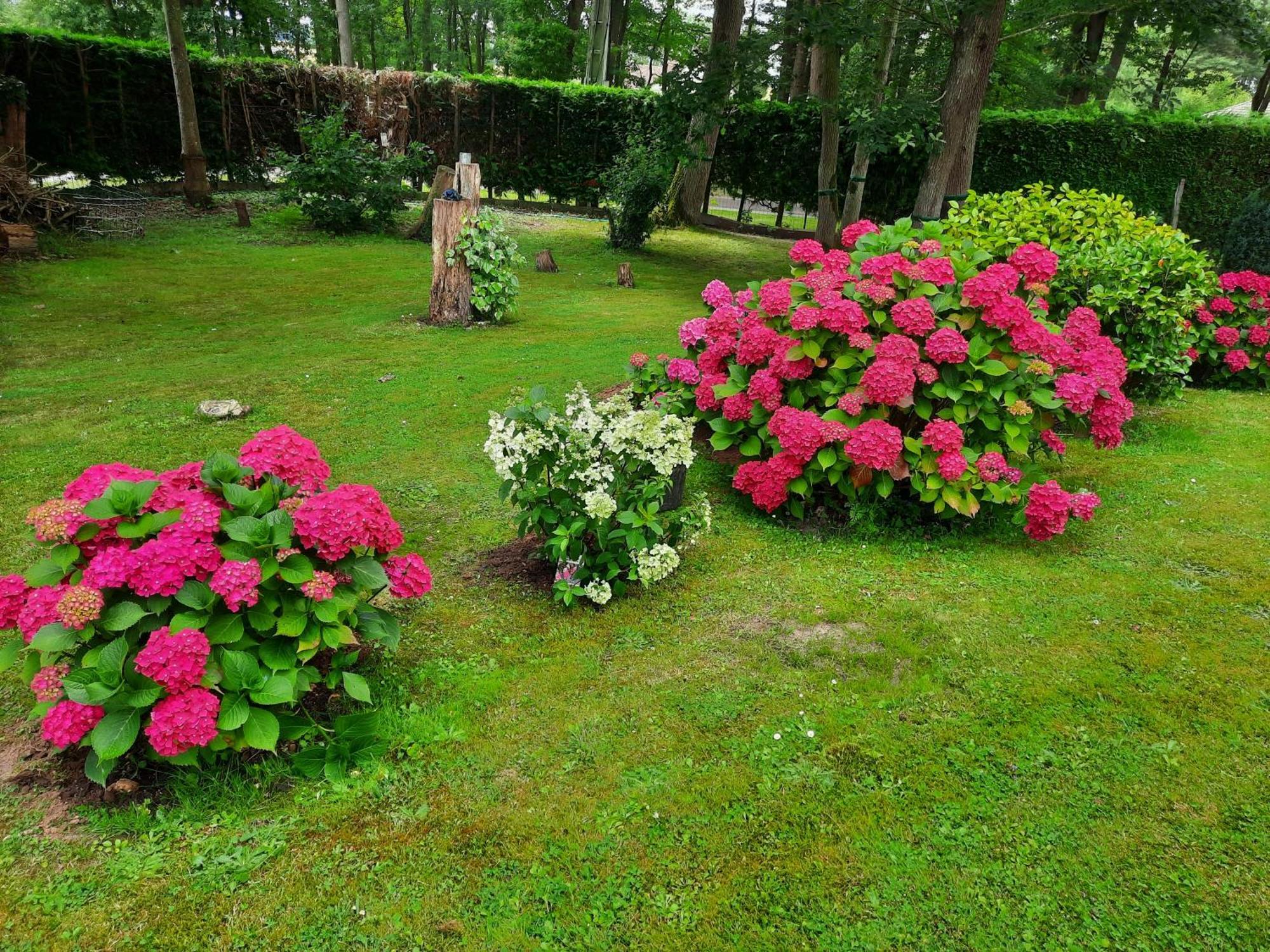 Chambre D Hote Les Bosquets Bed & Breakfast Cauge Екстериор снимка